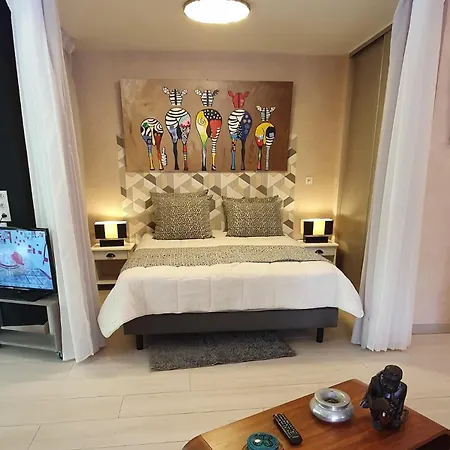 La Chaume Du Marais Poitevin Avec Barque Venice With Boat Sansais