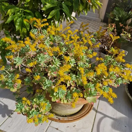 La Chaume Du Marais Poitevin Avec Barque Venice With Boat شقة *