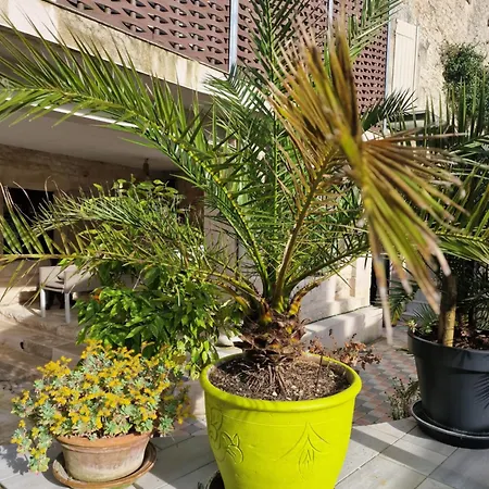 شقة La Chaume Du Marais Poitevin Avec Barque Venice With Boat Sansais