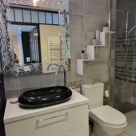 Apartman La Chaume Du Marais Poitevin Avec Barque Venice With Boat Sansais